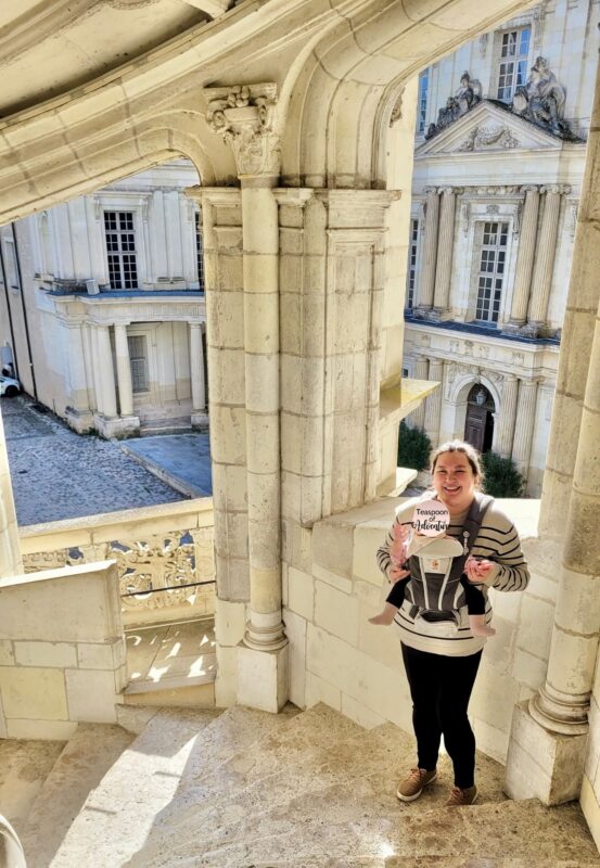 France Chateau Royal de Blois