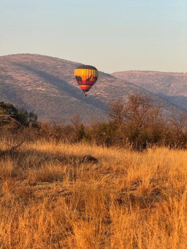 Balloon at sunrise over the park