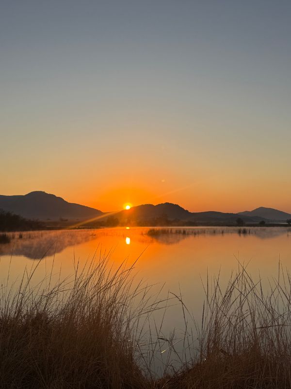 Sunrise